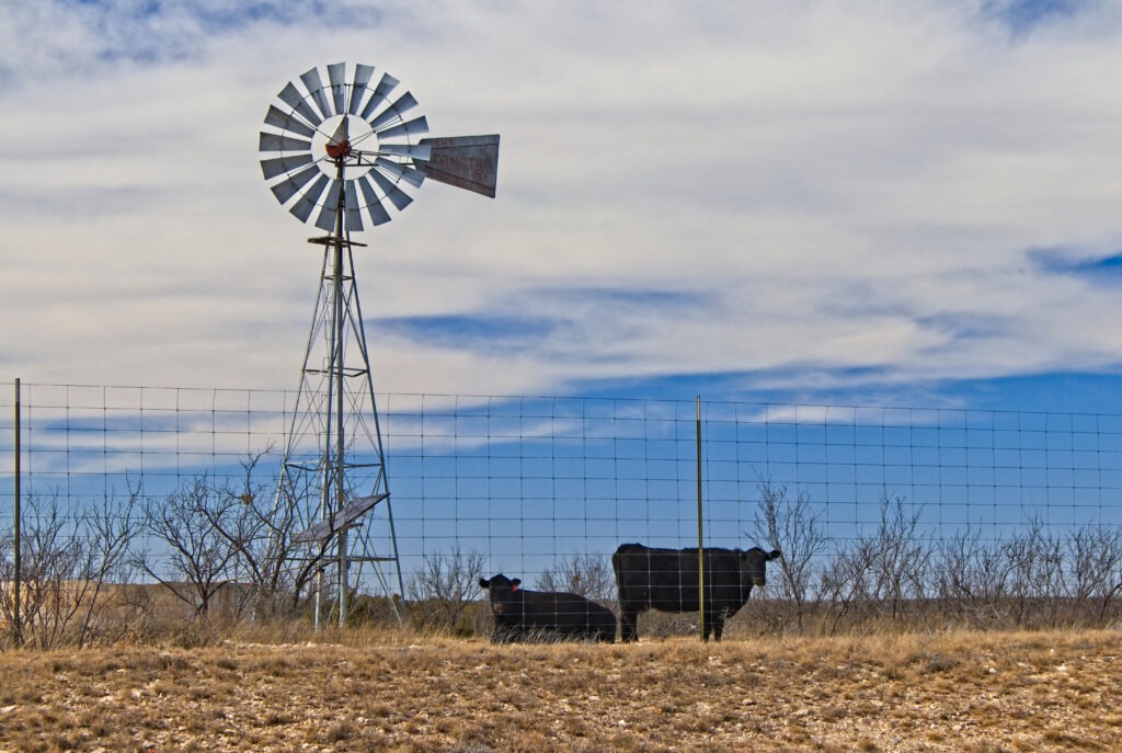 West Texas Cattle Ranching